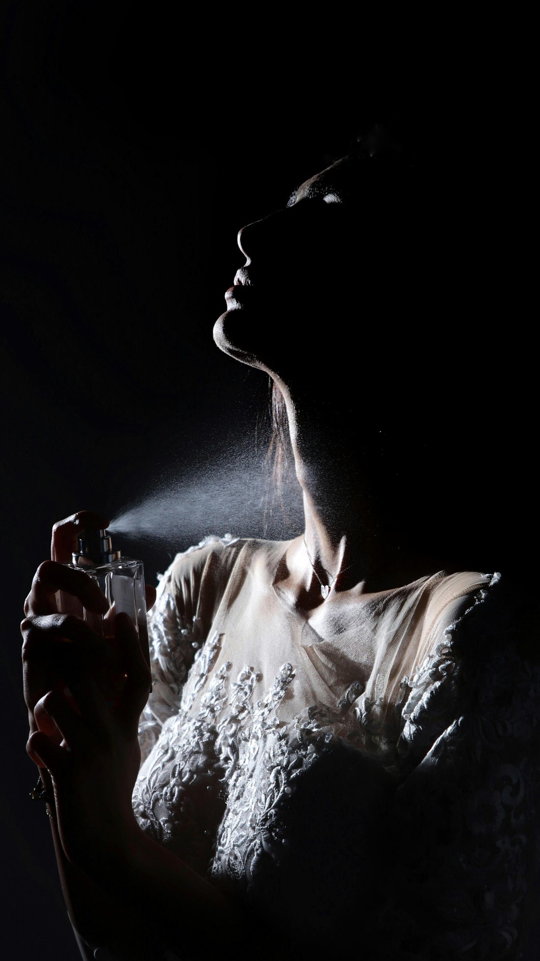How to Choose the Right Perfume for Your Personality Guide by Xalvori
